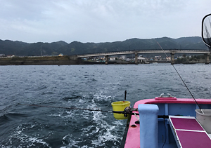 白間津港　海正丸　シマアジ　釣り