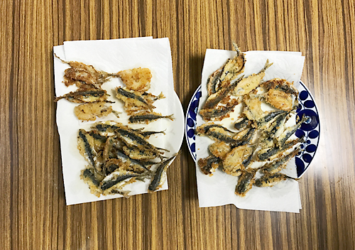 館山小サバとウツボ　鯖　釣り