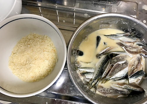 館山小サバとウツボ　鯖　釣り