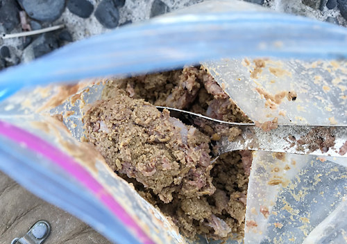 館山　釣り　味　堤防