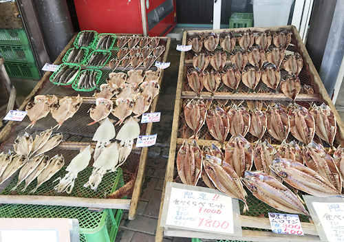 館山・富浦でカマスとアジ釣り