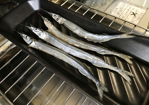 館山千倉でサヨリとサバ釣り