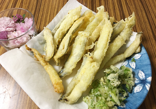 館山千倉でサヨリとサバ釣り