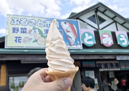 館山6月堤防釣り