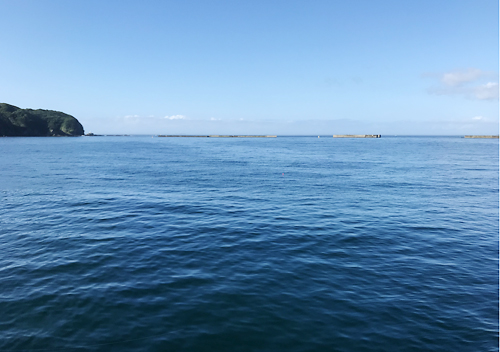 下田福浦堤防アジ釣り