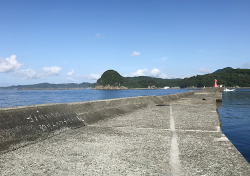 下田福浦堤防アジ釣り