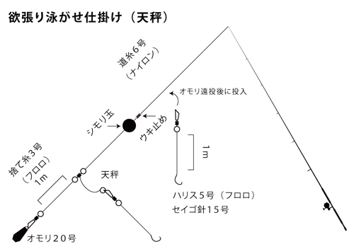 青物狙いアジの泳がせ仕掛けエレベーター天秤式