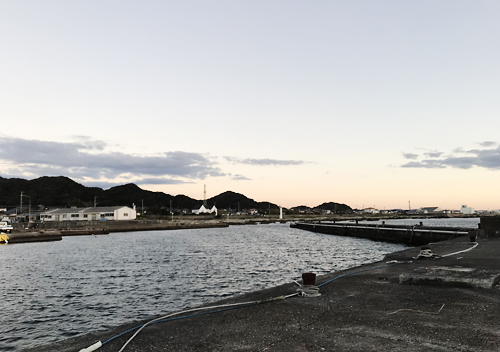 南房総館山鴨川でアジカマスの堤防サビキ釣り