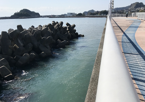 勝浦・鴨川の釣り場　メジナ・クロダイ・アジ・サバ・イワシ