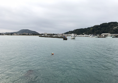 南房館山・富浦・千倉でアジ・カマス・サヨリ釣り