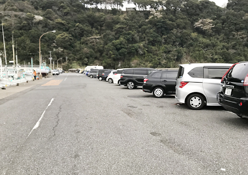 南房館山・富浦・千倉でアジ・カマス・サヨリ釣り