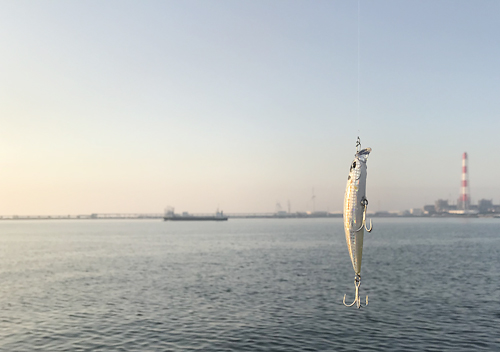 鹿島港_オハグロベラ_釣り