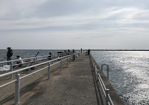 鹿島港魚釣り園／ルアーでのショゴサビキでシマアジ