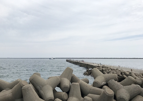 鹿島港魚釣り園／ルアーでのショゴサビキでシマアジ