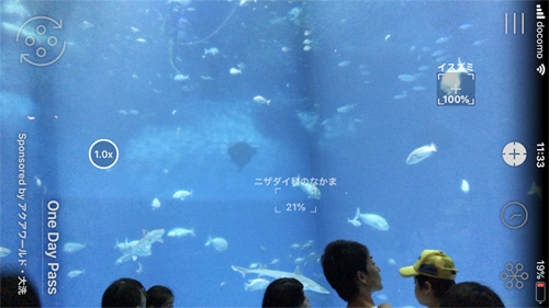 大洗水族館おすすめLINNE LENS