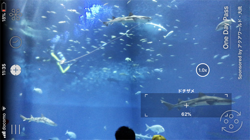 大洗水族館おすすめLINNE LENS