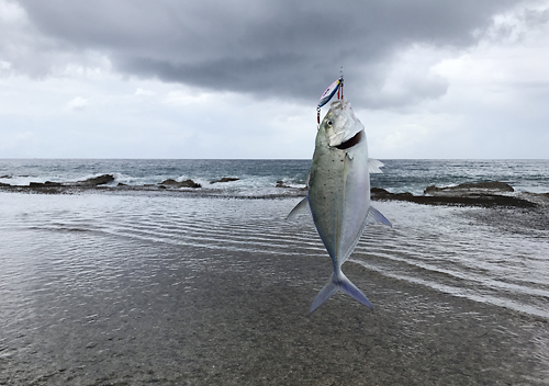 グアムタモン湾でルアーフィッシング_釣り