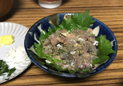 外房_勝浦・鴨川堤防テトラでアジのカゴ釣り