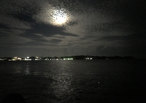 外房_勝浦・鴨川堤防テトラでアジのカゴ釣りにカマスとクロダイも混ざる