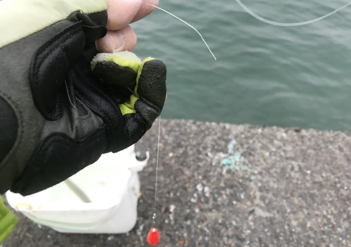 外房_勝浦・鴨川堤防テトラでアジのカゴ釣りにカマスとクロダイも混ざる