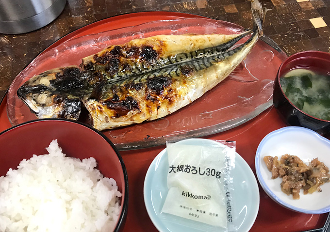 トロ鯖定食！外房（鴨川・勝浦）７月のアジ釣果