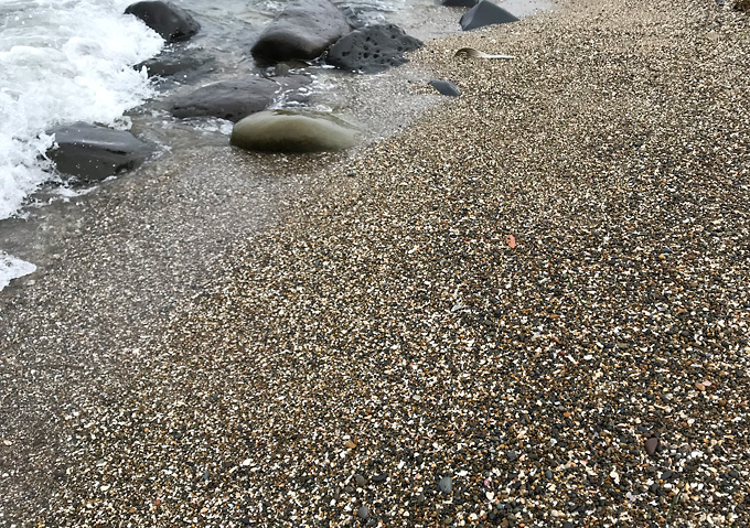 銚子漁港でイワシ釣り：釣果（夏８月）