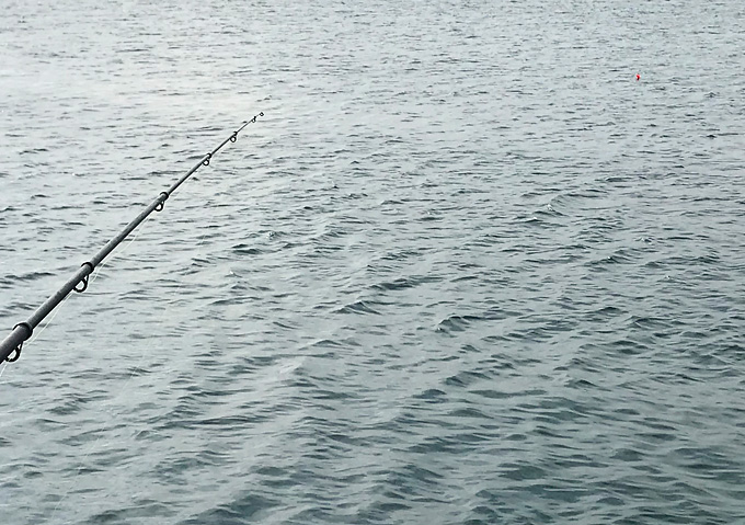 《釣り》外房カゴ釣り（遠投ウキ10号）