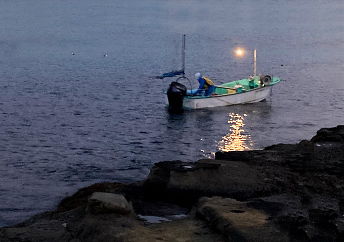 【釣果（冬）】外房磯釣り_朝マズメ夜釣りカゴ釣り