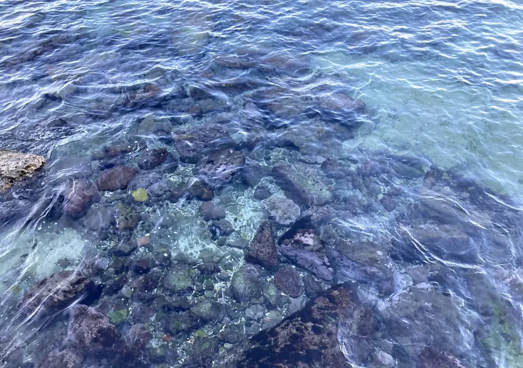 外房カゴ釣り（釣果：真鯛）１２月／透明度と海水温／いすみ・勝浦・鴨川