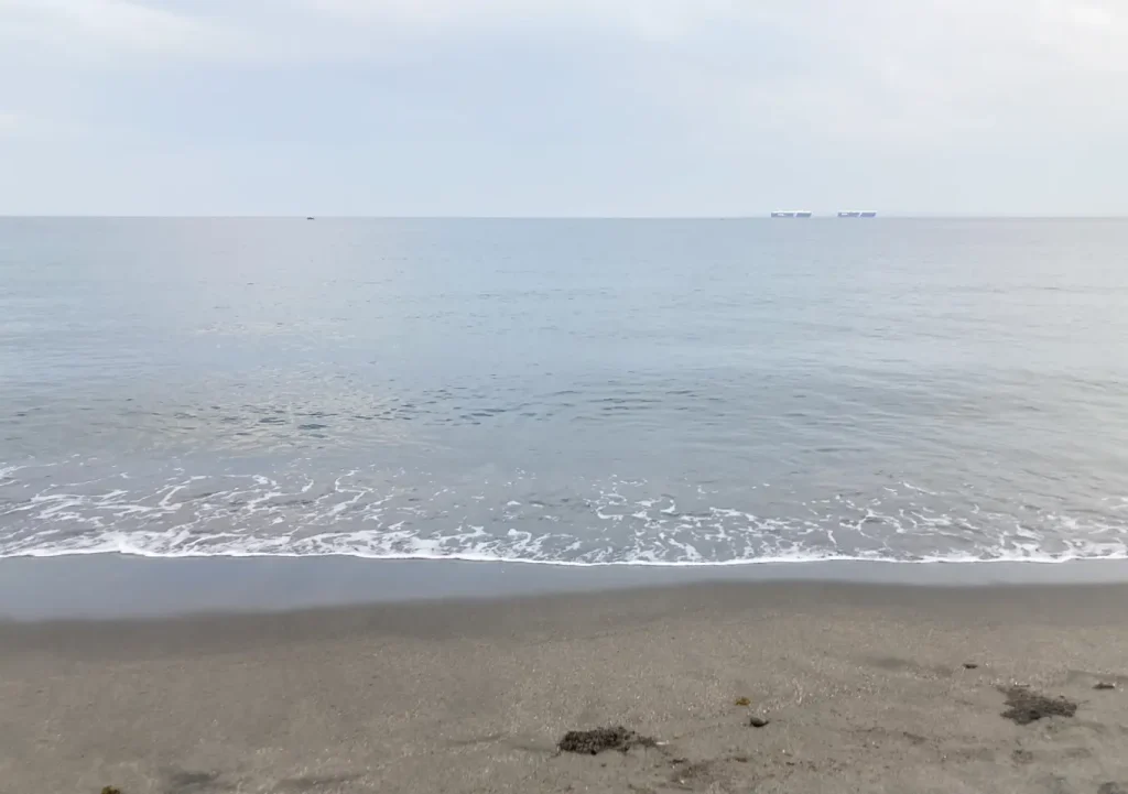 内房カヤックフィッシング(釣りブログ)5月釣果:オニカサゴ/オウモンハタ/イワシの群れと青物到来