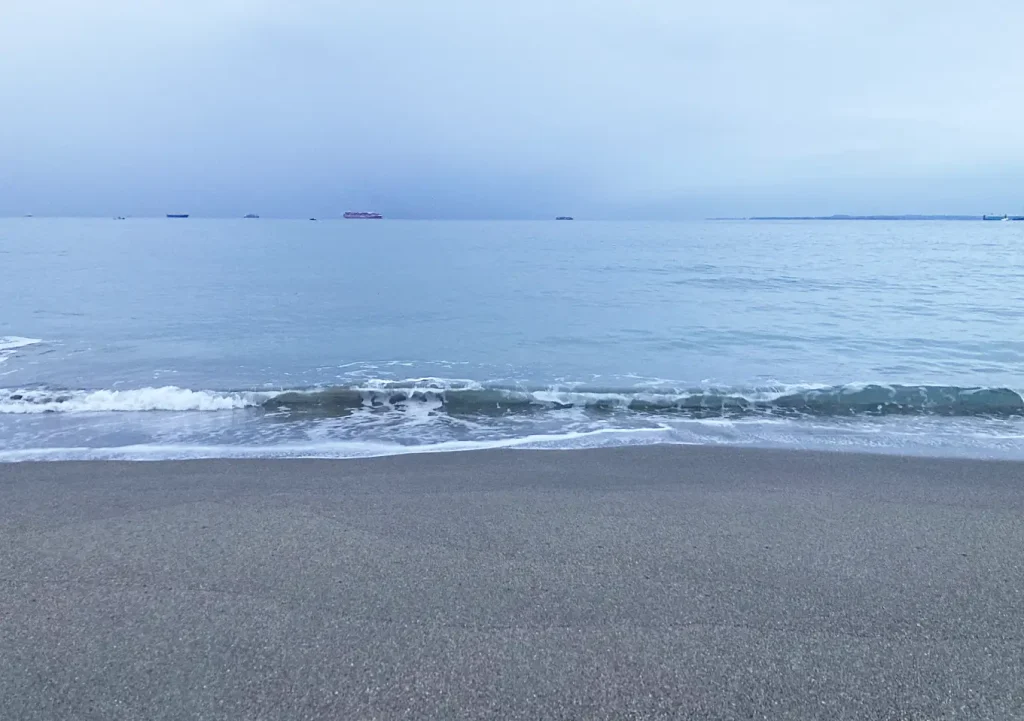 内房ベイトヒットルアー/カタクチイワシ/青物マダイ/カヤックフィッシング