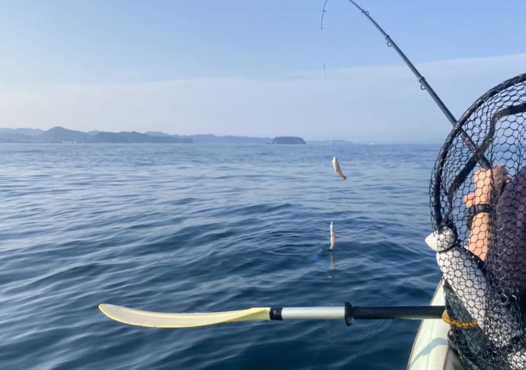 内房沖のベイトは小サバ/カヤック餌釣り(コマセ)アミエビ・オキアミ_サバ/アジとイサキ狙い