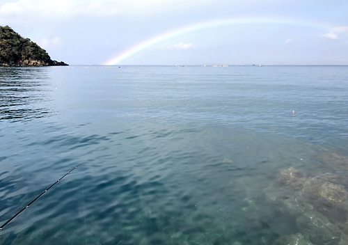 館山・富浦でカマスとアジ釣り