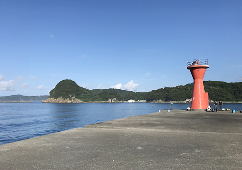 下田福浦堤防アジ釣り