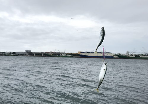 波崎港の釣り場_堤防、埠頭