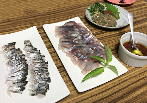 釣り飯_刺身_アジ_コノシロ_ワカシのカルパッチョ