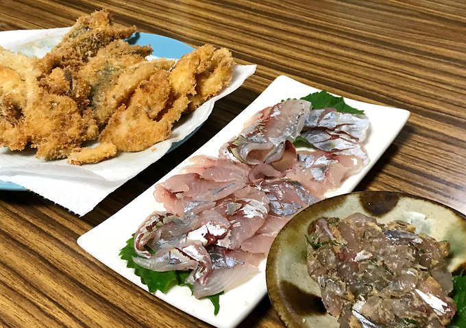 釣りアジ料理（シマアジ）刺身・なめろう・フライ