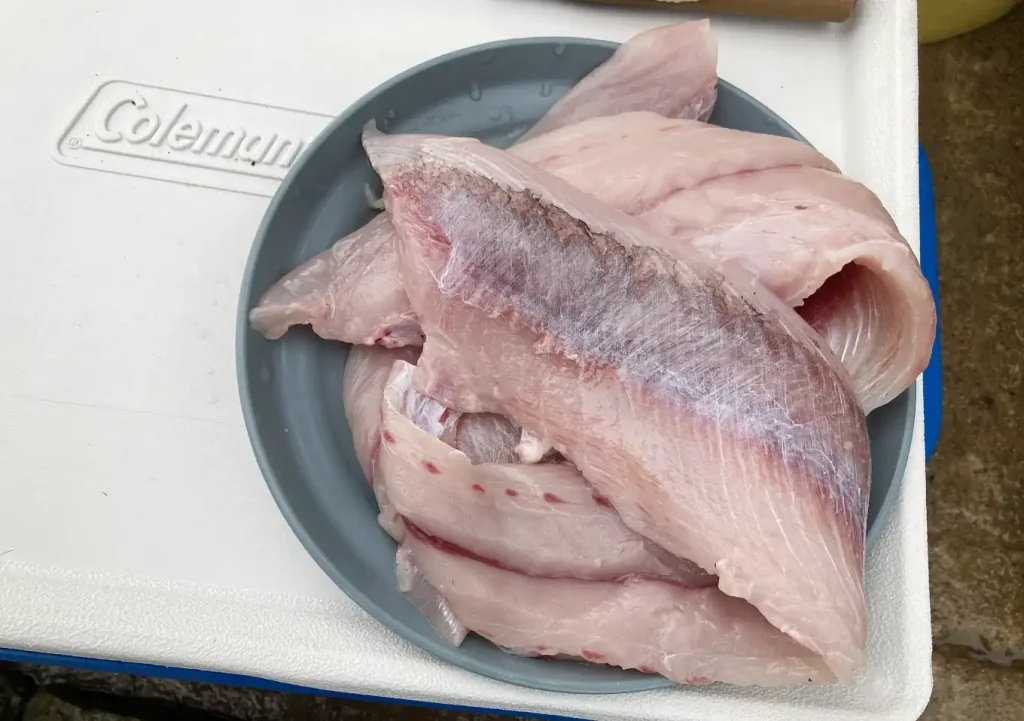 シイラのレシピ（フライ・フィッシュバーガー・刺身）釣り飯
