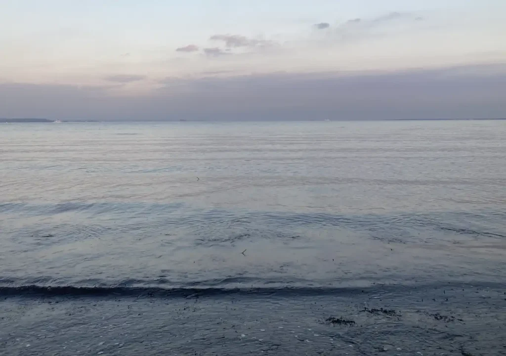 カヤックフィッシング・１１月／内房釣果（富津）メッキ・セイゴ・タチウオ／釣れる時期／出艇場所