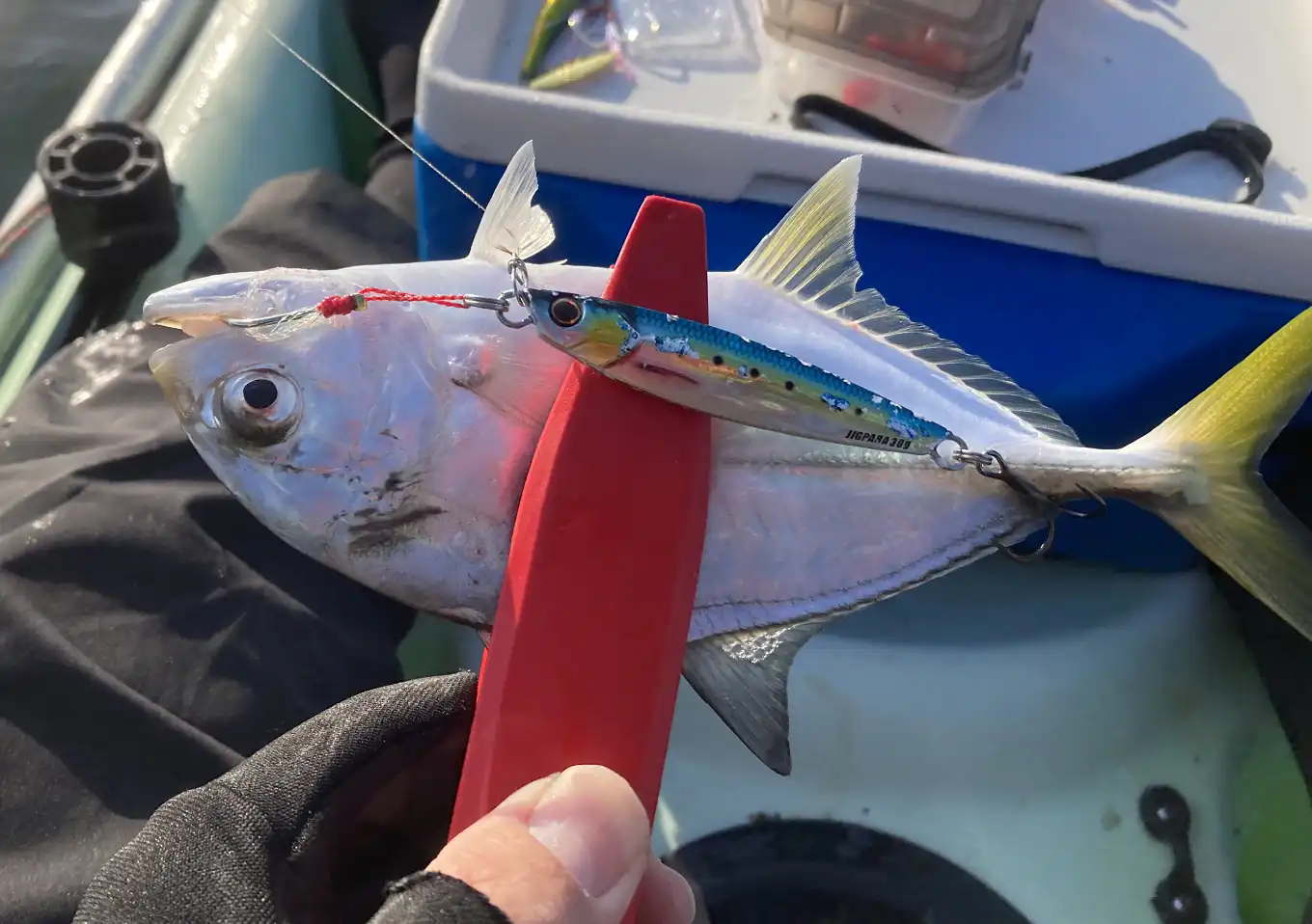 カヤックフィッシング・１１月／ジグパラショート／内房釣果（富津）メッキ・セイゴ・エソ・タチウオ／釣れる時期／出艇場所／レシピ