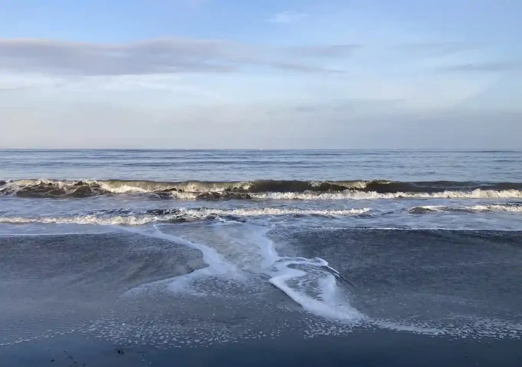 内房カヤックフィッシング／シーバス・タチウオ釣果／荒天時の出艇注意点／ルアー
