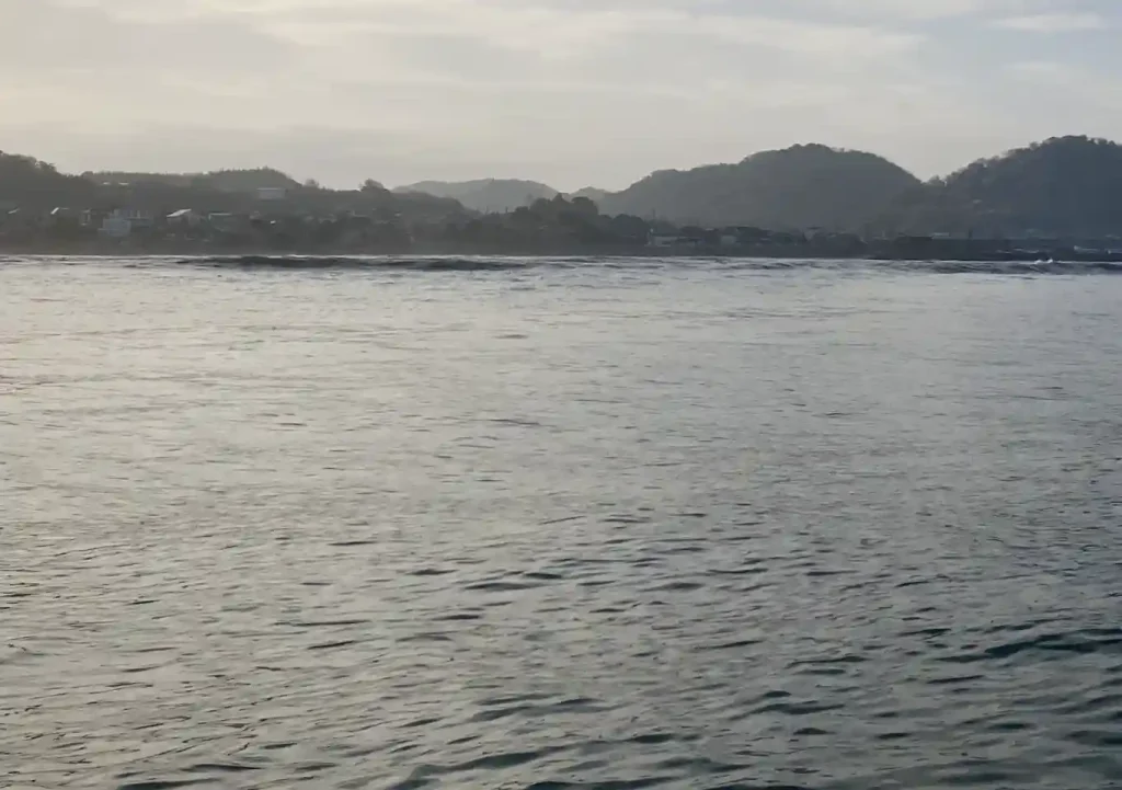 内房カヤックフィッシング／シーバス・タチウオ釣果／荒天時の出艇注意点／ルアー