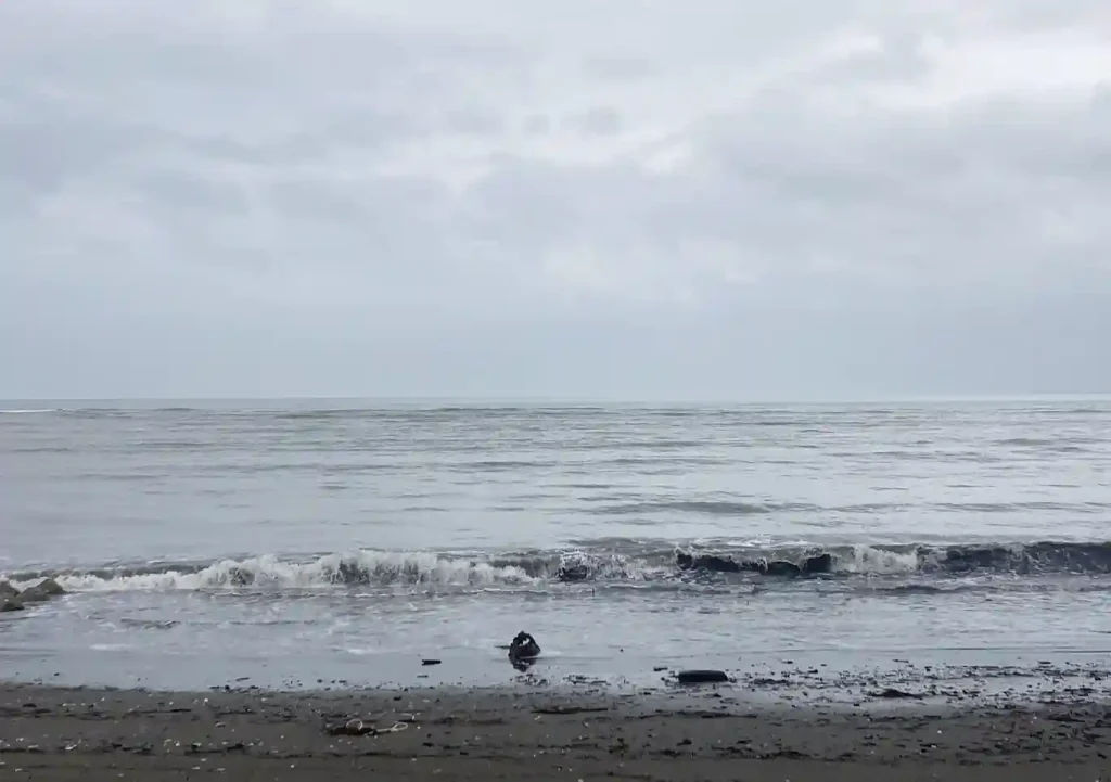 内房カヤックフィッシング／シーバス・タチウオ釣果／荒天時の出艇注意点／ルアー