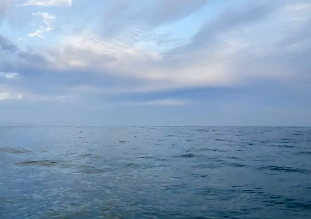 南房の海流(潮の流れ)黒潮接岸時の注意/波高うねり/カヤック・小型ボート・SUP
