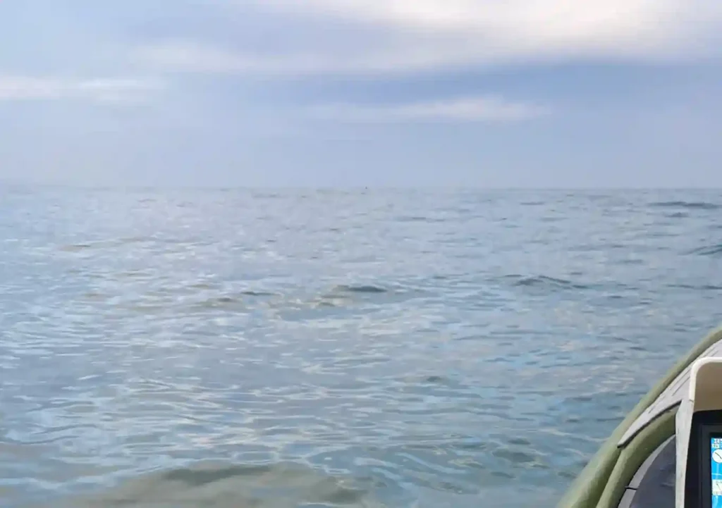 南房・外房の海流(潮の流れ)黒潮接岸時の注意/波高うねり/カヤック・小型ボート・SUP