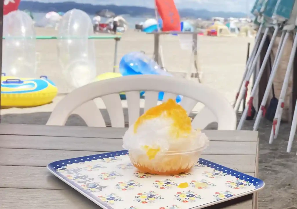 タンデムカヤックフィッシング／子供と一緒にベタ凪の内房の海へ／安全