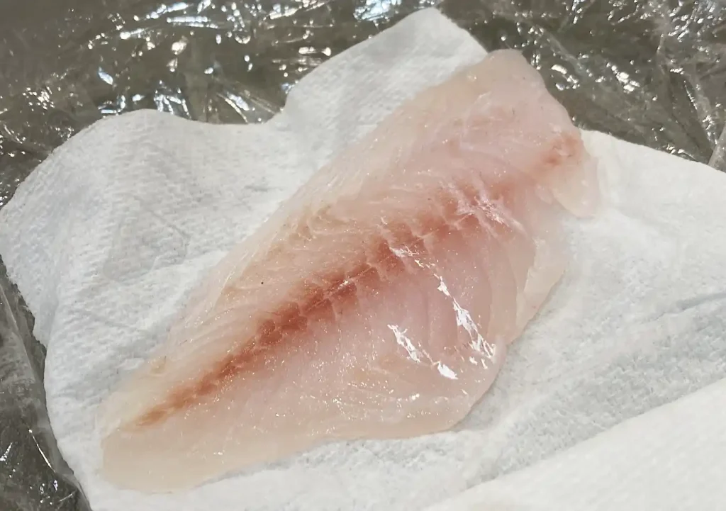 【釣飯／熟成】マダイとメジナを10日間寝かせてみた結果｜旨みと食感の変化